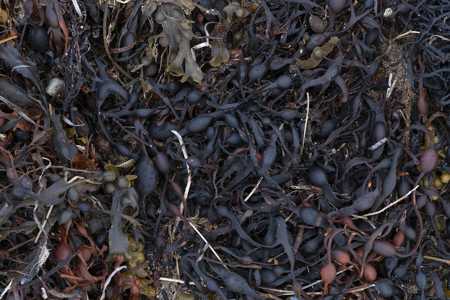 expanded photography